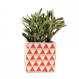 Pot carré avec des triangles Père Noël - Grossiste fleuriste contenant
