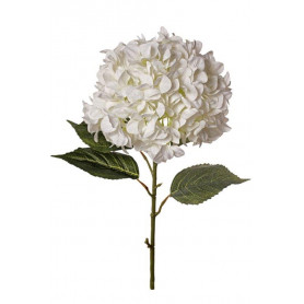 Hortensia crème fleur artificielle grossiste Renaud Distribution