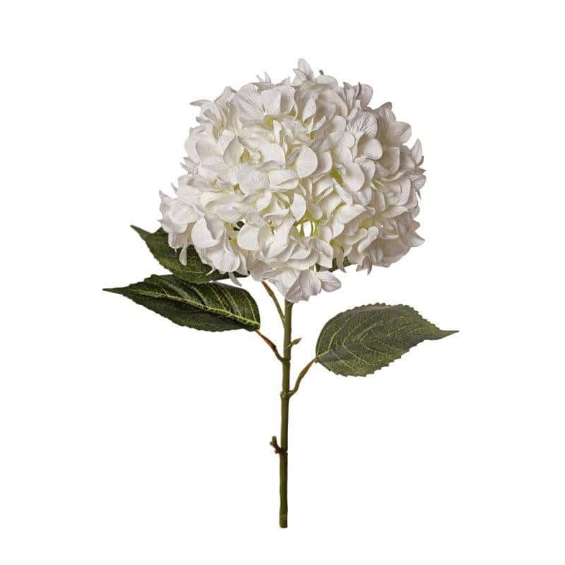 Hortensia crème fleur artificielle grossiste Renaud Distribution