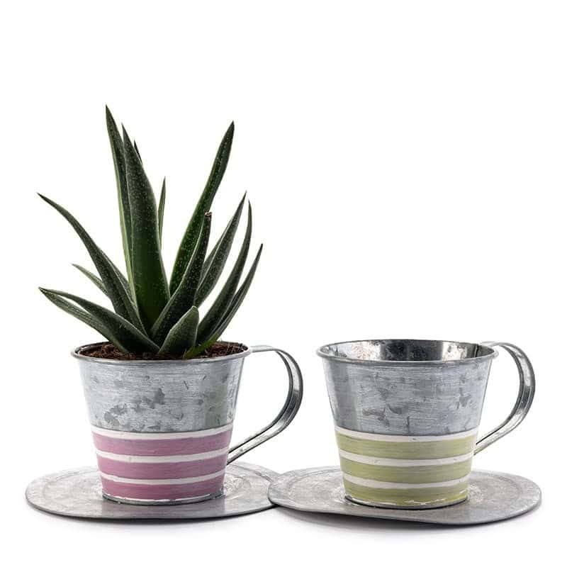 Contenant tasse en zinc à rayures - Elina Contenant tasse en zinc à rayures - Elina