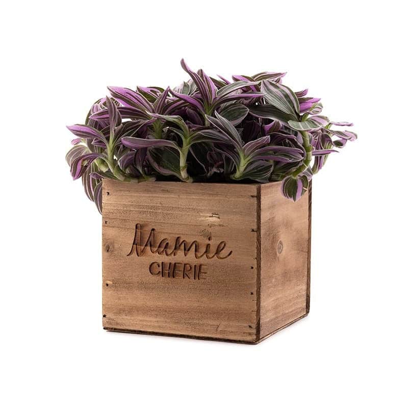 Pot en bois carré mamie chérie - Ines Pot en bois carré mamie chérie - Ines