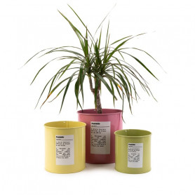 Pots en zinc - Renaud Distribution - Fournisseur fleuriste - Grossiste fleuriste - contenant