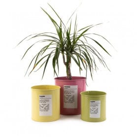 Pots en zinc - Renaud Distribution - Fournisseur fleuriste - Grossiste fleuriste - contenant