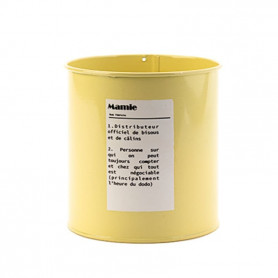 Pots en zinc - Renaud Distribution - Fournisseur fleuriste - Grossiste fleuriste - contenant