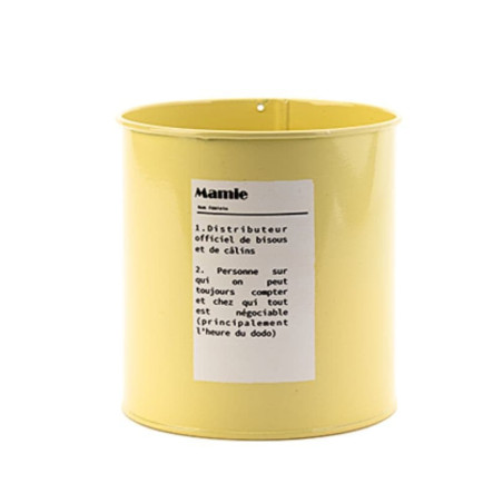 Pots en zinc - Renaud Distribution - Fournisseur fleuriste - Grossiste fleuriste - contenant