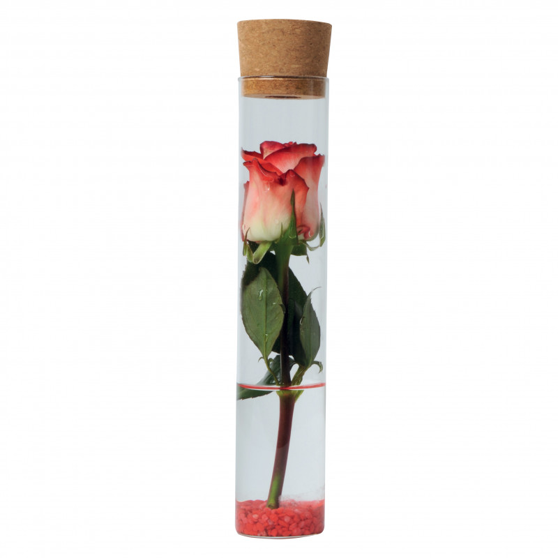 Vase tube bouchon saint valentin décoration grossiste