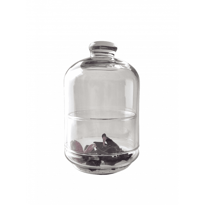 Cloche en verre contenant saint valentin verrerie grossiste Cloche en verre contenant saint valentin verrerie grossiste