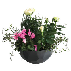 Coupe quartz Jola - Plusieurs couleurs - grossiste contenant plastique