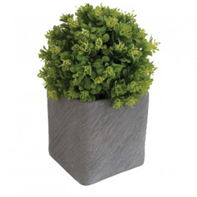 Pot carré ciment Gris foncé - Fournisseur contenants pour fleuristes