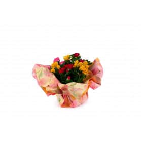Papier polypro fleurs printemps acquarelle emballage grossiste