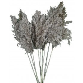 Plumes Padulex décoration sec naturel grossiste