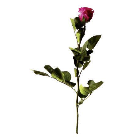 Rose éternelle tigée Amorosa 53cm - Plusieurs coloris