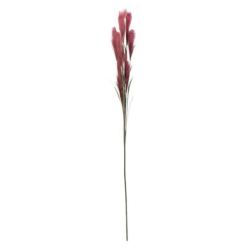 Branche Gynerium 145 CM - Chadoux Branche Gynerium 145 CM - Chadoux