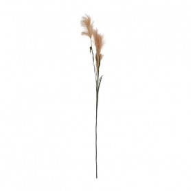 Branche Gynerium 145 CM - Chadoux