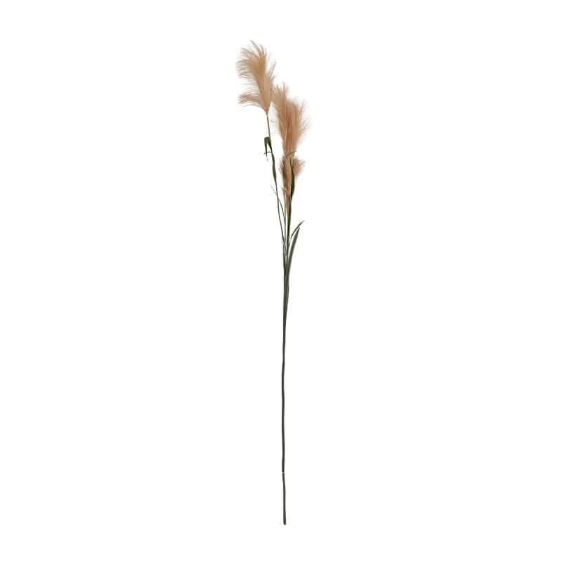Branche Gynerium 145 CM - Chadoux Branche Gynerium 145 CM - Chadoux