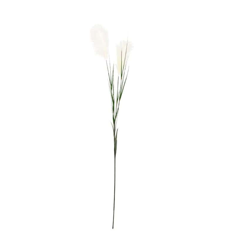Branche Gynerium 145 CM - Chadoux Branche Gynerium 145 CM - Chadoux