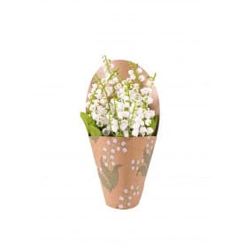 Cache pot kraft muguet emballage equinoxe grossiste
