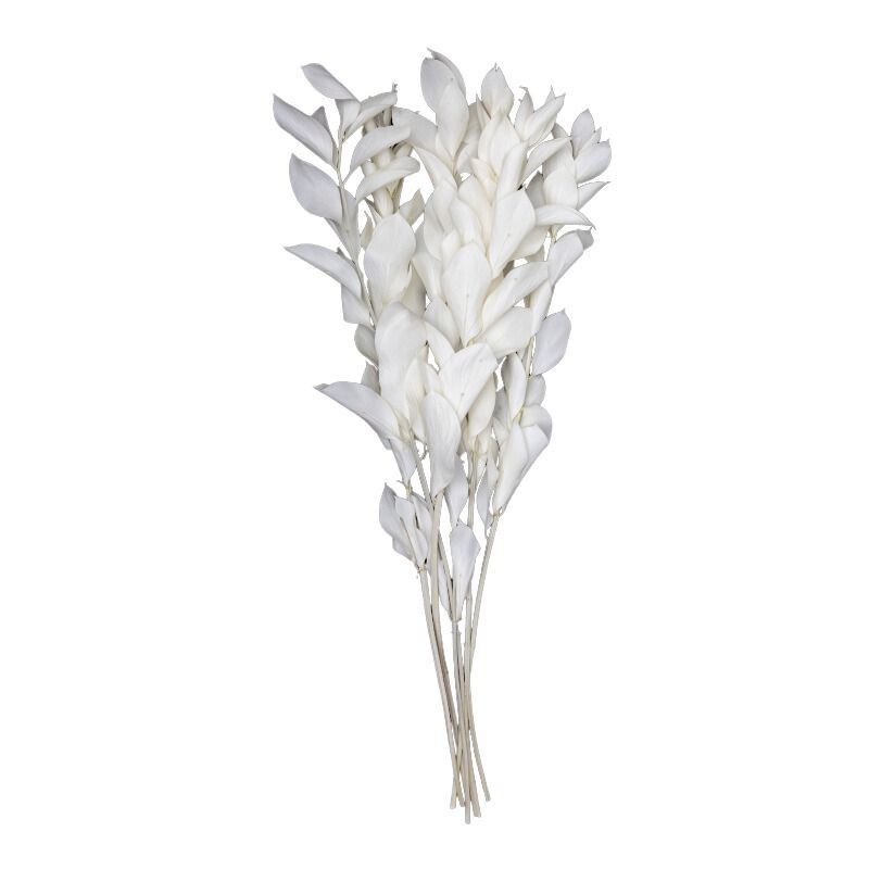 Ruscus artificiel feuillage grossiste décoration