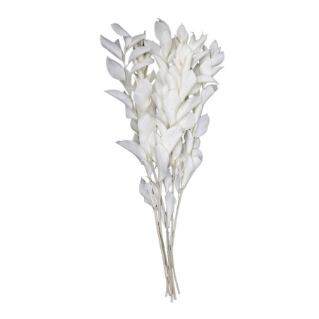 Ruscus artificiel feuillage grossiste décoration