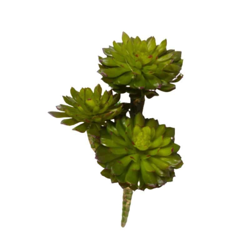 Succulente 3 branches artificielle fleuriste