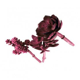 Assortiment de succulentes artificielles 2 couleurs