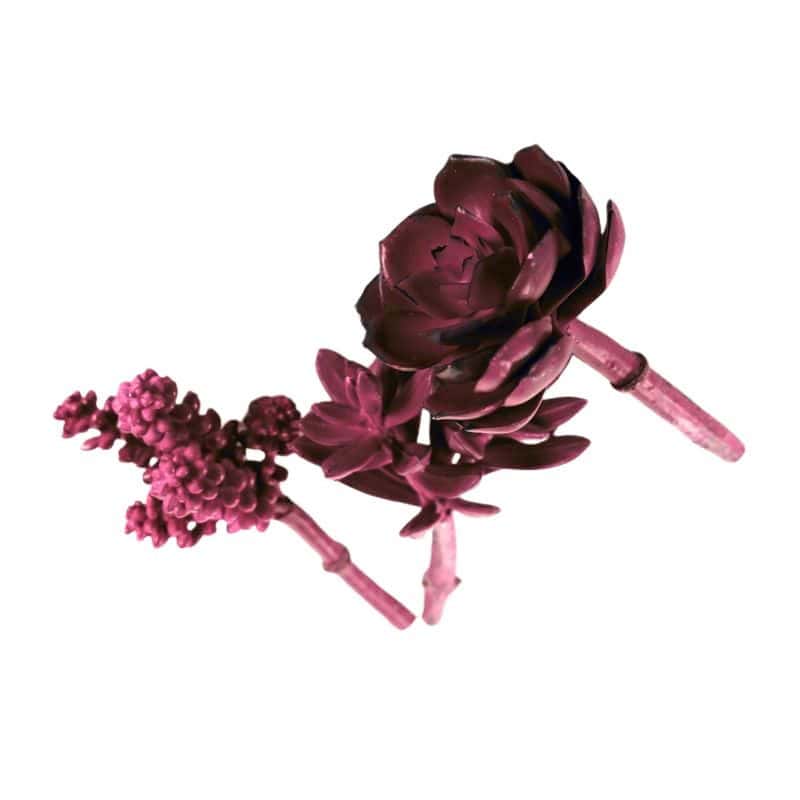 Assortiment de succulentes artificielles 2 couleurs