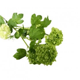 Viburnum 79cm - grossiste fleurs artificielles