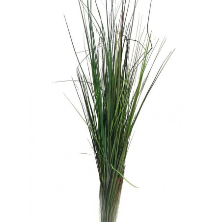 Bear grass artificiel - Renaud Distribution