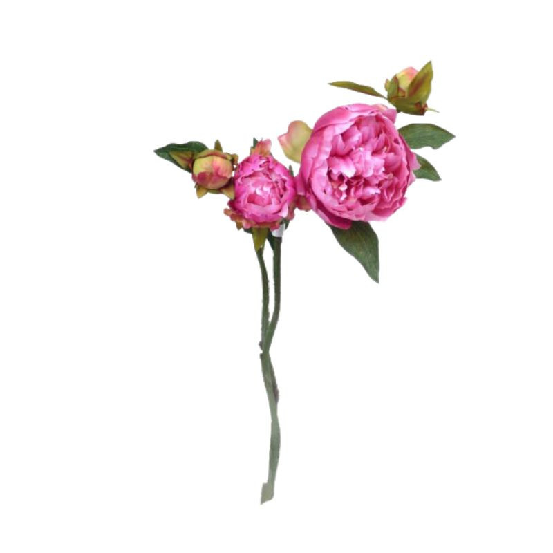 Pivoine 2 fleurs et 1 bouton 51 cm