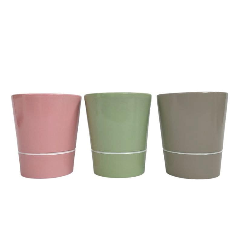 Pot Phalaeno multicolores pastel - contenant fleuriste