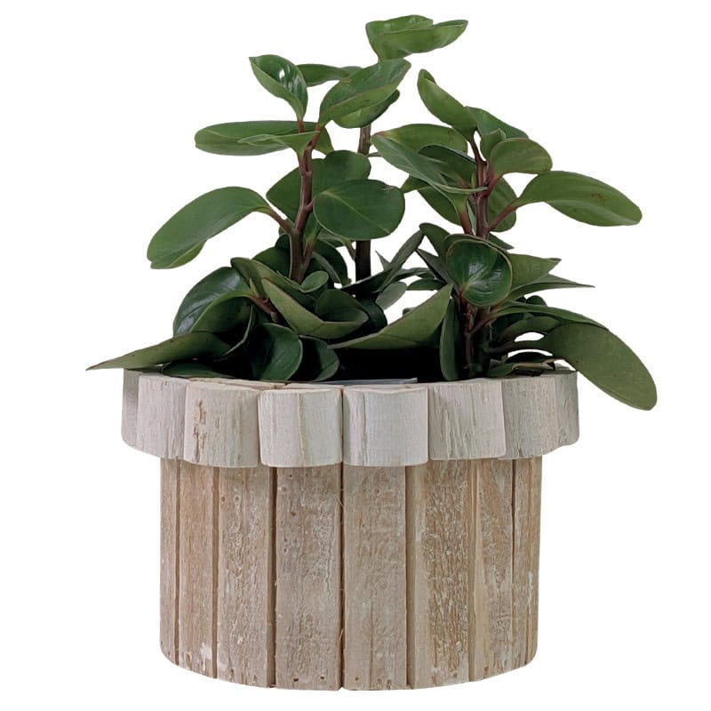 Coupe en bois contenant fête des mères grossiste Coupe en bois contenant fête des mères grossiste