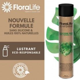 Lustrant éco responsable 750ml soin fleurs grossiste