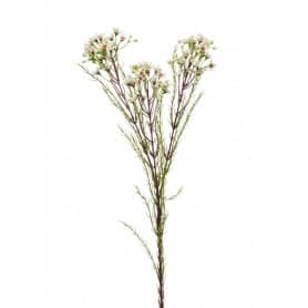 Wax  3 branches H.78cm - Fila