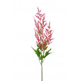 Astilbe spray H.90cm - Palma