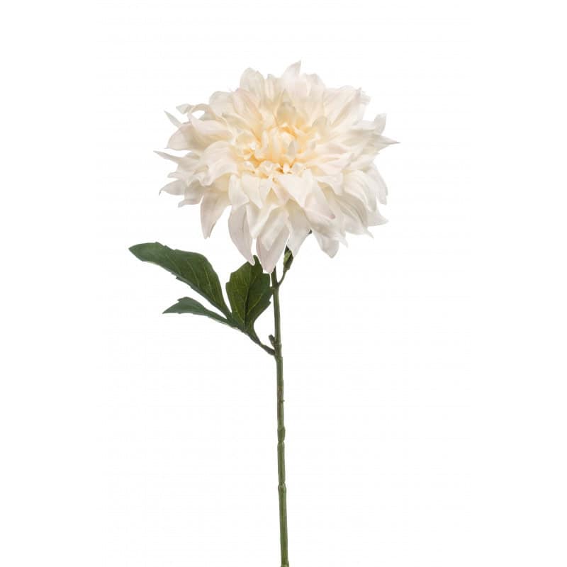 Décoration florale - Grossiste fleuriste - Tergal - Fournisseur fleuriste - Renaud Distribution Décoration florale - Grossiste fleuriste - Tergal - Fournisseur fleuriste - Renaud Distribution
