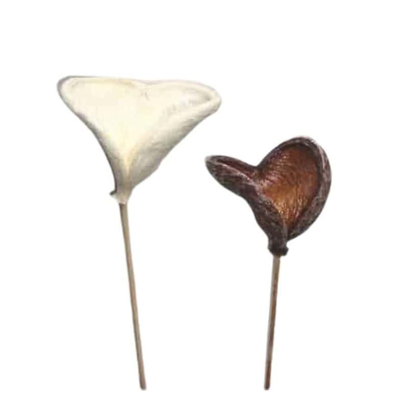 Badam avec tiges sec naturel grossiste fleuriste Badam avec tiges sec naturel grossiste fleuriste