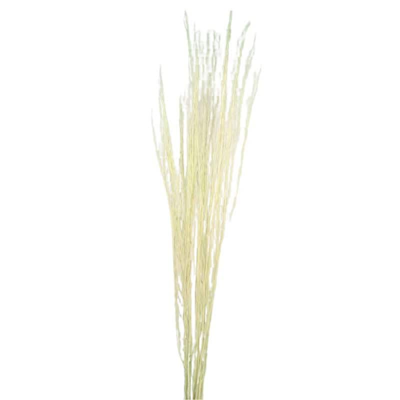 Branchage décoratif white lady - 15 pièces Branchage décoratif white lady - 15 pièces