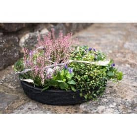 Coupe Biolit Black - 4 tailles