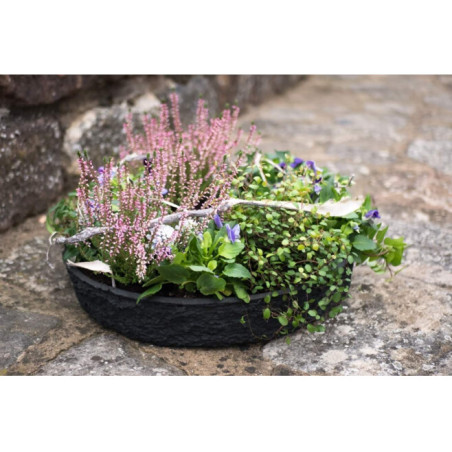 Coupe Biolit Black - 4 tailles