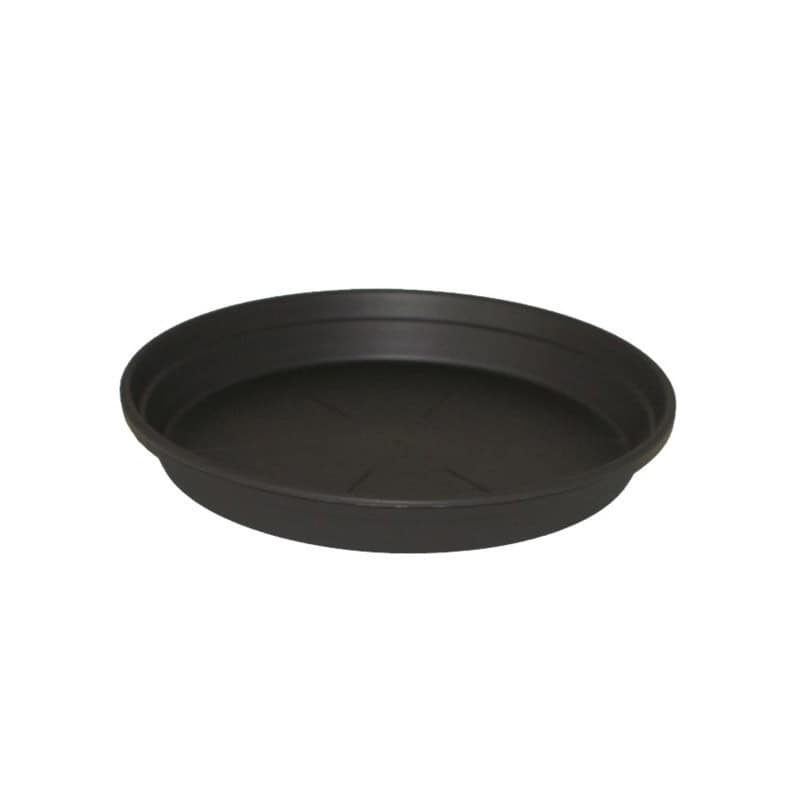 Soucoupe plastique - Grossiste fleuriste - Contenant plastique - Fournisseur fleuriste Soucoupe plastique - Grossiste fleuriste - Contenant plastique - Fournisseur fleuriste