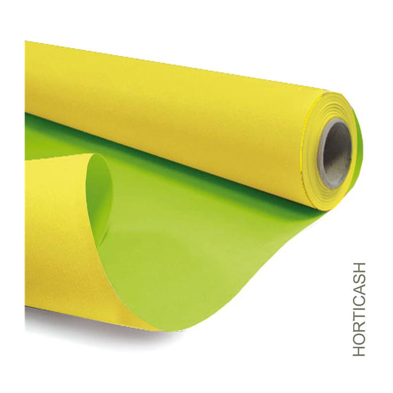 Papier kraft blanchi duo L. 40 m x l. 80 cm - Grossiste pour fleuriste