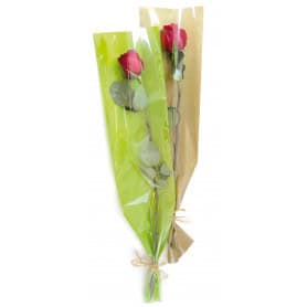 Etui à rose Krafting - 100 pièces Grossiste pour fleuriste