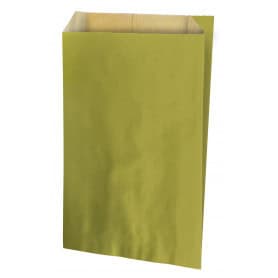 Pochettes kraft brun 3 tailles vert clair embalalge grossiste