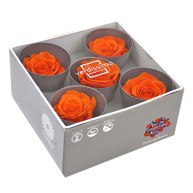 Tête de rose stabilisée - Grossiste fleurs stabilisées