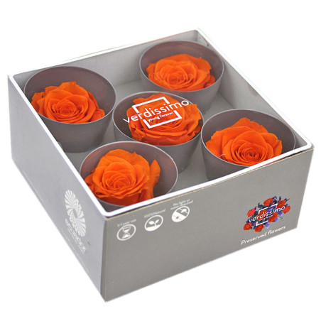 Tête de rose stabilisée - Grossiste fleurs stabilisées