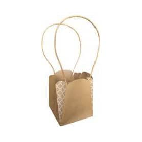 Paquet de 10 sacs 14x14x16cm 3 couleurs - Dune - Porte plantes - Emballage - Grossiste