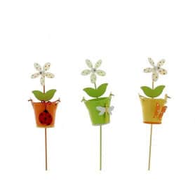 Paquet de pic - Pics décoratifs - Grossiste fleuriste - Fournisseur fleuriste