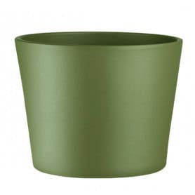 Cache-pot olive mat contentant grossiste fleuriste