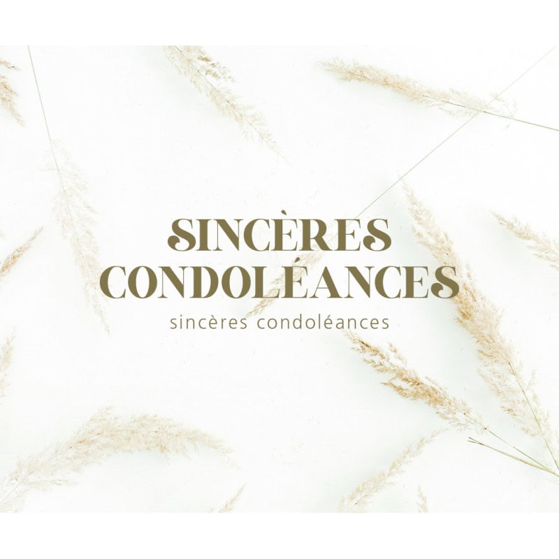 Paquet de 12 cartes doubles "sincère condoléances" - Vanga - Emballage - Carterie - Grossiste