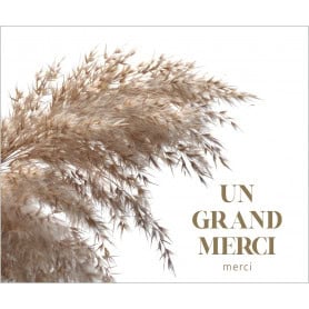 Paquet de 12 cartes doubles "grand merci" - Auce - Emballage - Carterie - Grossiste